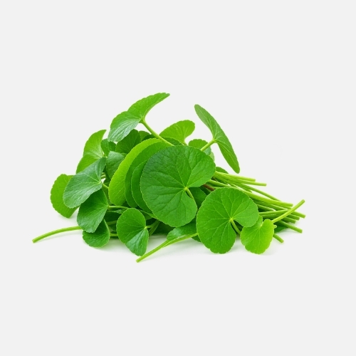 Gotukola