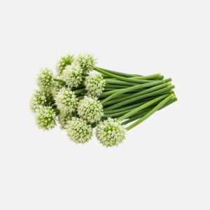Zwiebelblüte
