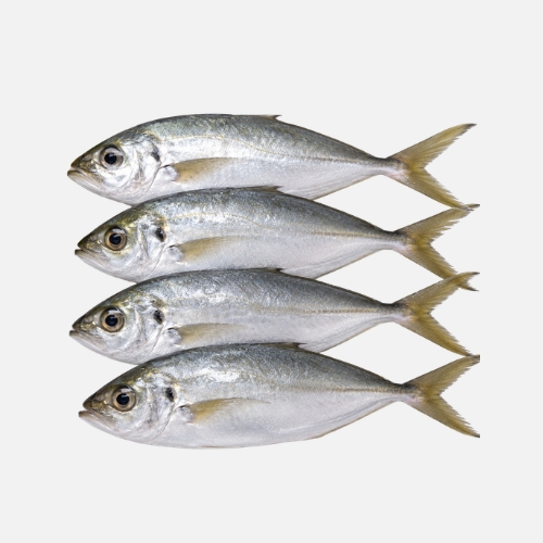 Fisch (1kg)
