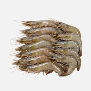 Garnele (1kg)